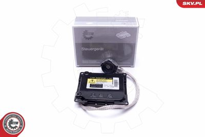 Control Unit, lights ESEN SKV 59SKV063