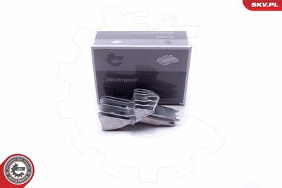 Control Unit, lights ESEN SKV 59SKV075