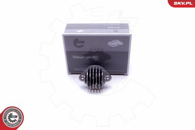 Control Unit, lights ESEN SKV 59SKV078