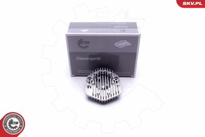 Control Unit, lights ESEN SKV 59SKV079