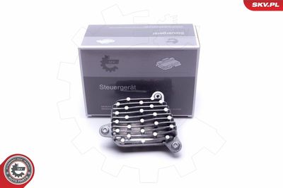 Control Unit, lights ESEN SKV 59SKV095