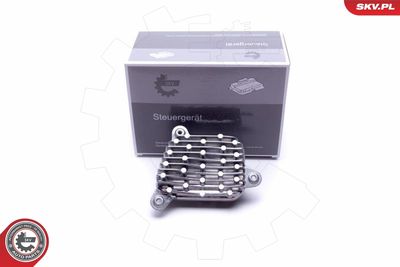 Control Unit, lights ESEN SKV 59SKV096