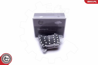 Control Unit, lights ESEN SKV 59SKV098