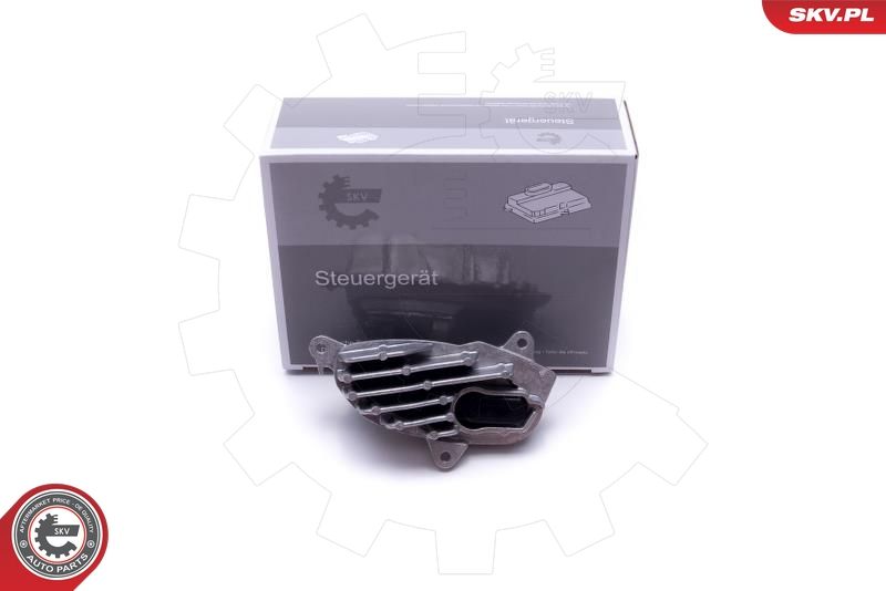 ESEN SKV 59SKV131 Control Unit, lights