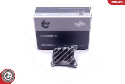 Control Unit, lights ESEN SKV 59SKV133