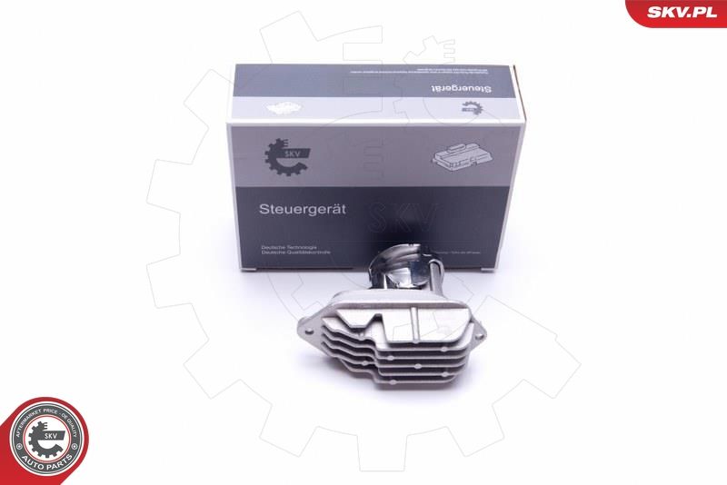 ESEN SKV 59SKV137 Control Unit, dynamic bending light