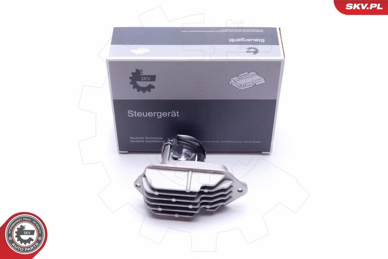 ESEN SKV 59SKV138 Control Unit, dynamic bending light
