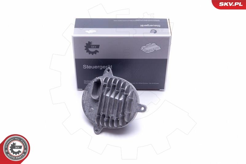 ESEN SKV 59SKV139 Control Unit, dynamic bending light