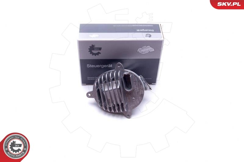 ESEN SKV 59SKV140 Control Unit, dynamic bending light