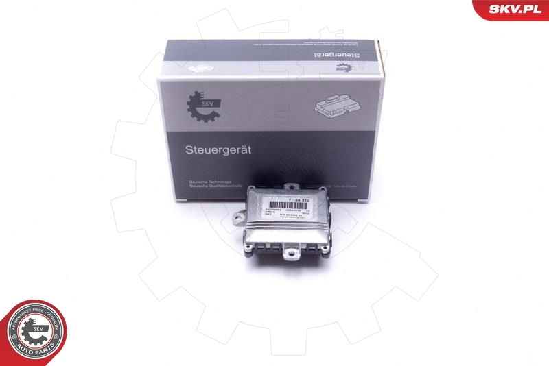 ESEN SKV 59SKV145 Control Unit, dynamic bending light