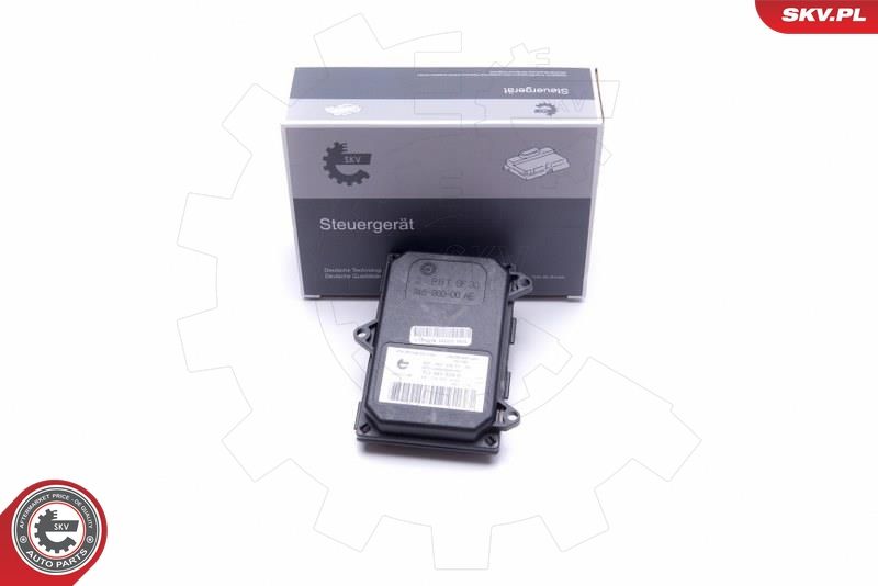 ESEN SKV 59SKV149 Control Unit, dynamic bending light