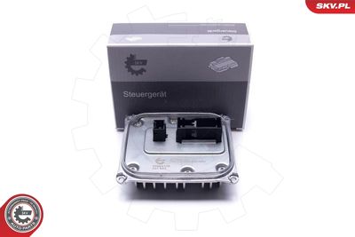 Control Unit, lights ESEN SKV 59SKV169