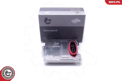 Control Unit, lights ESEN SKV 59SKV173