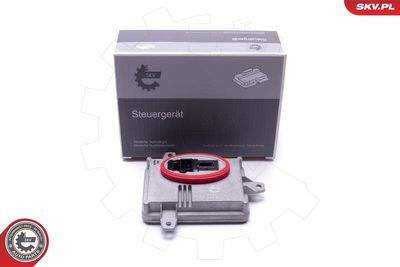 Control Unit, lights ESEN SKV 59SKV174