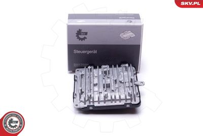 Control Unit, lights ESEN SKV 59SKV183
