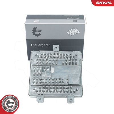 Control Unit, lights ESEN SKV 59SKV194