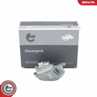 Control Unit, lights ESEN SKV 59SKV213