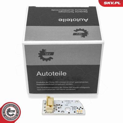 Control Unit, lights ESEN SKV 59SKV289