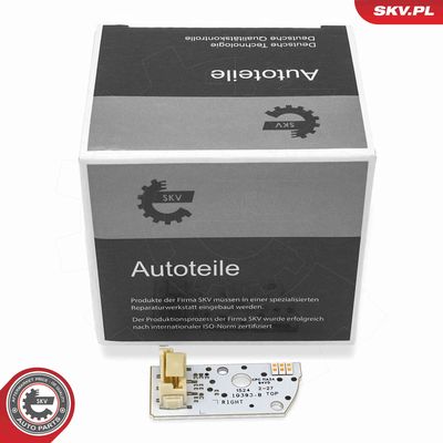 Control Unit, lights ESEN SKV 59SKV290