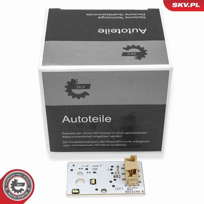 Control Unit, lights ESEN SKV 59SKV291