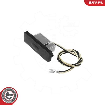 Tailgate Handle ESEN SKV 60SKV648