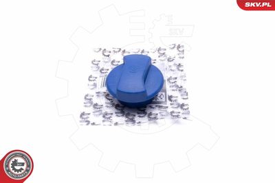 Cap, coolant tank ESEN SKV 61SKV013