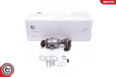 Catalytic Converter ESEN SKV 62SKV001