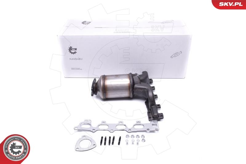 ESEN SKV 62SKV002 Catalytic Converter