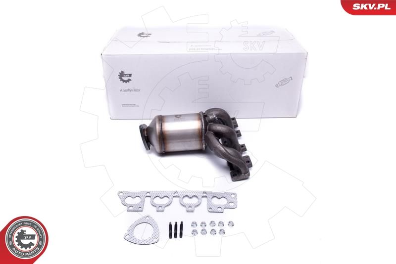 ESEN SKV 62SKV006 Catalytic Converter