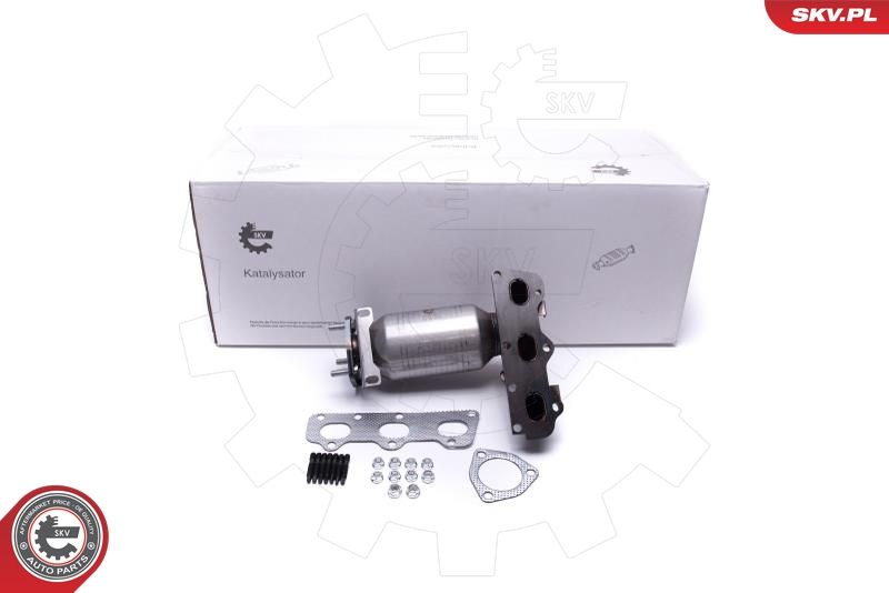 ESEN SKV 62SKV007 Catalytic Converter