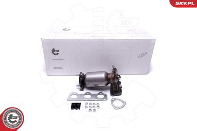 Catalytic Converter ESEN SKV 62SKV009