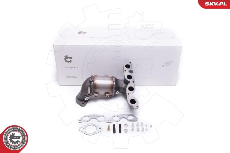 ESEN SKV 62SKV013 Catalytic Converter