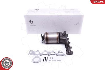 Catalytic Converter ESEN SKV 62SKV014