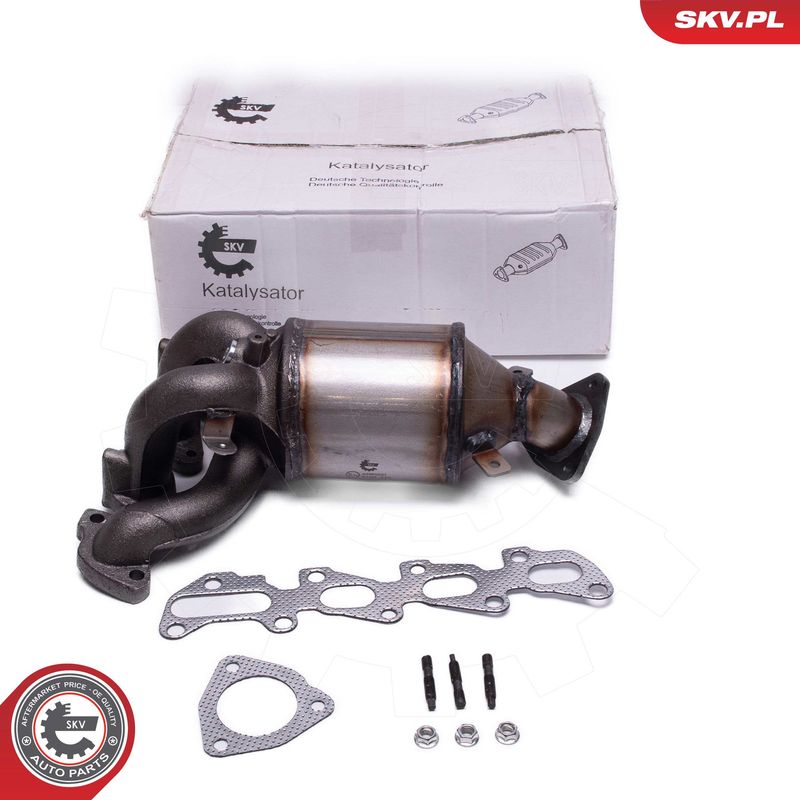 ESEN SKV 62SKV021 Catalytic Converter