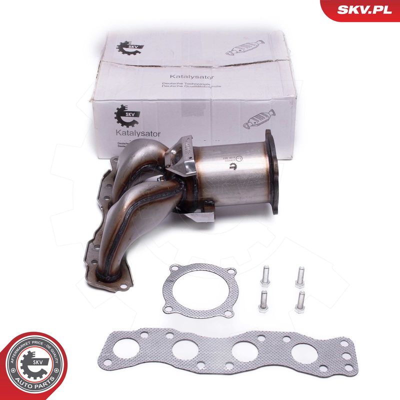 ESEN SKV 62SKV023 Catalytic Converter