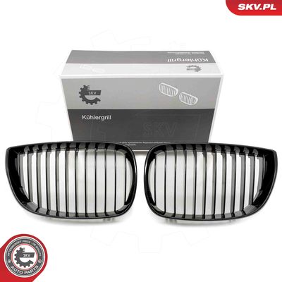 Radiator Grille ESEN SKV 66SKV001