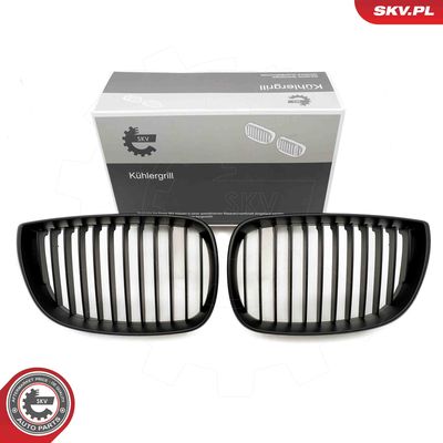 Radiator Grille ESEN SKV 66SKV003