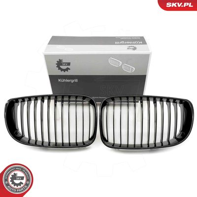 Radiator Grille ESEN SKV 66SKV006