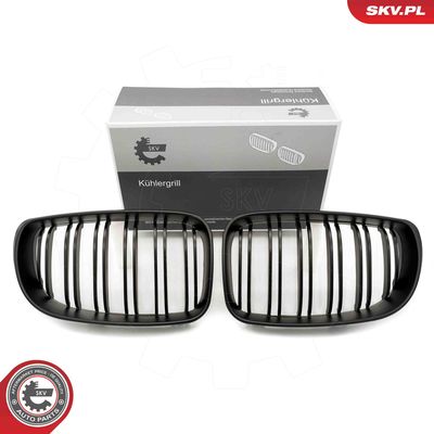 Radiator Grille ESEN SKV 66SKV011