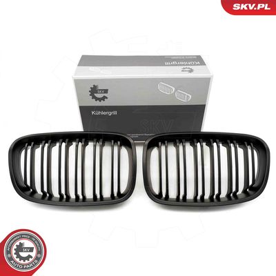 Radiator Grille ESEN SKV 66SKV018