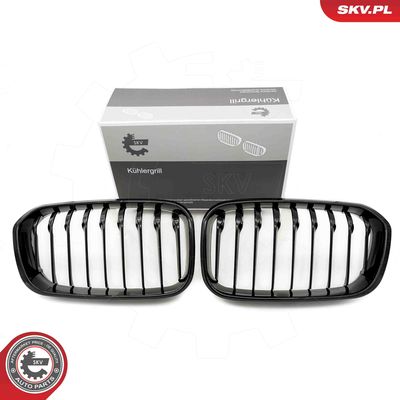 Radiator Grille ESEN SKV 66SKV020