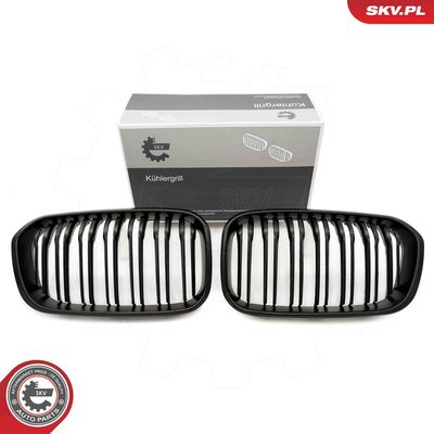 Radiator Grille ESEN SKV 66SKV022