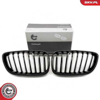 Radiator Grille ESEN SKV 66SKV029