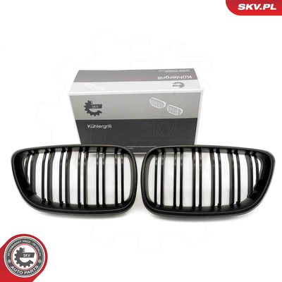 Radiator Grille ESEN SKV 66SKV034