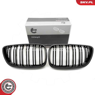 Radiator Grille ESEN SKV 66SKV035