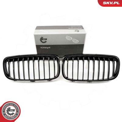 Radiator Grille ESEN SKV 66SKV039