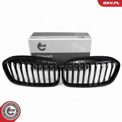 Radiator Grille ESEN SKV 66SKV041
