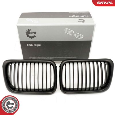 Radiator Grille ESEN SKV 66SKV051