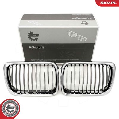Radiator Grille ESEN SKV 66SKV052