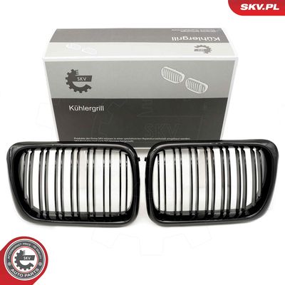 Radiator Grille ESEN SKV 66SKV054
